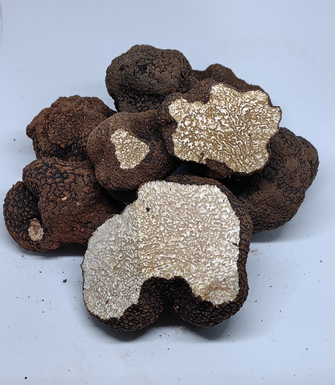 Tuber aestivum (crni ljetni tartuf) 100g.